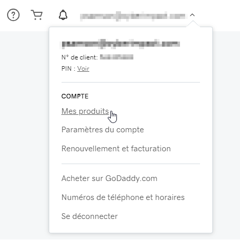Mes produits dans Go Daddy